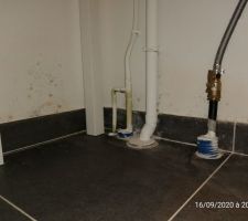 Humidité dans cellier