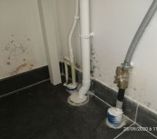 Humidité dans cellier