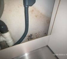 Humidité dans cuisine