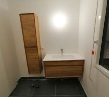 Carrelage de la salle d'eau et de bain + pose meubles