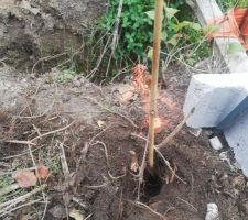 Borne 6 est essay&eacute; de creuser pour trouver la borne, on voit aussi le piquetage du geometre de maison.com qui lui est legerement sur l'exterieur