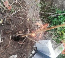 Borne 6 est essay&eacute; de creuser pour trouver la borne, on voit aussi le piquetage du geometre de maison.com qui lui est legerement sur l'exterieur