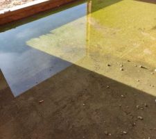 Eau stagnante suite aux intempéries
