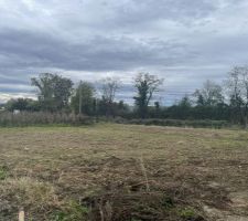 Terrain apr&egrave;s d&eacute;broussaillage