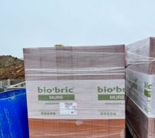 Marque des brics