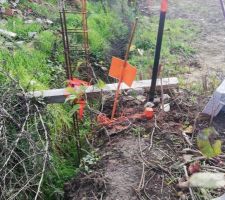Borne 6 le bout de bois avec les fanions d&eacute;limitent bien notre terrain