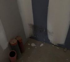 Du moisi dans un coin