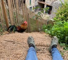 Natte en fibre naturel pour stabiliser le terrain en pente dans le poulailler