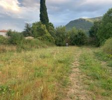 Notre terrain de 1600m2 plein sud que nous avons d&eacute;broussailler pour attendre le d&eacute;but de la construction.