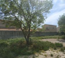 Le terrain est - ouest