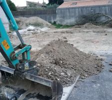 La taille de la pelle...