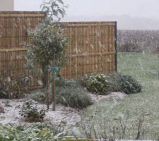 La clôture posée et fixée la neige vient la recouvrir!