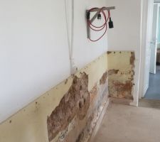Un lambris enfermait le mur de terre. Retrait...