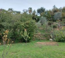 LA MAISON SERA CONSTRUITE SUR LA 1ER PLANCHE AU ARBRES