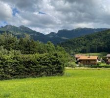 Le terrain