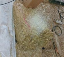 D&eacute;tail de d&eacute;coupe de botte autour d'un poteau
