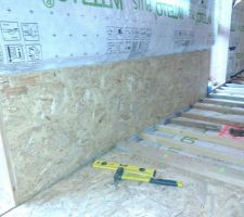 Premier panneau OSB 12 mm sur le pignon ouest