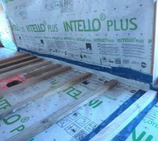 Premier lé de l'Intello sur le pignon ouest