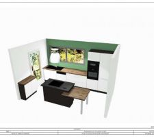 Voici le visuel définitif de notre cuisine, nous avons modifier les plans de travail.
Elle part en production et nous sera livrée fin mars-début avril.