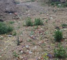 Chantier du voisin 4