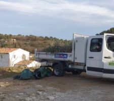 &Eacute;vacuation des rizhomes de cannes proven&ccedil;ales et de branches d'olivier