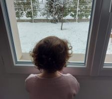 Le jardin sous la neige
