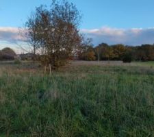 Le terrain due de face.