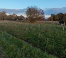 Terrain vue depuis la borne géotechnique. Limite droite.