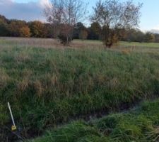 Terrain vu depuis la borne géotechnique. Limite gauche