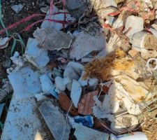 Déchets ramassés sur le terrain, dont des "trucs" non générés par le chantier, probalement ramenés avec la grave (céramique)