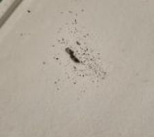 Cendre de cigarette sur le receveur de douche tout neuf