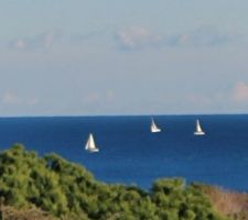 Vue bateaux