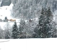 La Bistorte dans le paysage hivernal