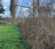 Le nettoyage du terrain touche à sa fin