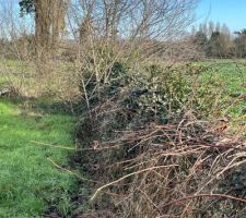 Le nettoyage du terrain touche à sa fin