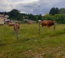 Parcelle non constructible