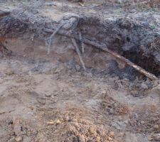 10cm de terre puis le sable !