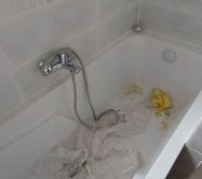 La baignoire = la poubelle des artisans du bâtiment !