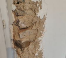 Sondage du doublage du salon : pl&acirc;tre et direct la pierre