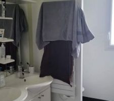 Modification de la salle de bain 
Peinture blanche en cours