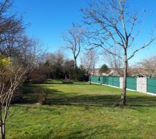 Notre terrain &agrave; Thiverval dans le 78 : 1200m2 (vue arri&egrave;re)