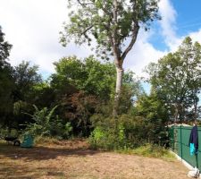 Partie avant &agrave; d&eacute;gager, d&eacute;ssoucher