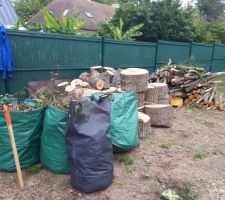 Apr&egrave;s l'abattage du gros arbre g&ecirc;nant l'implantation de la maison (vue avant)
