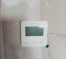 Thermostat RIBO