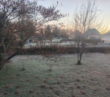 Le jardin gel&eacute; du matin