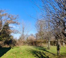 Le jardin sous le soleil d'hiver