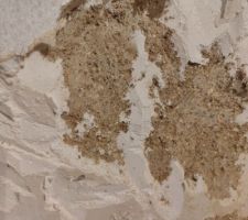 Le mur chambre 1 (RDC) : un esp&egrave;ce de papier peint avec 3 mm de polystir&egrave;ne, puis le pl&acirc;tre et la pierre