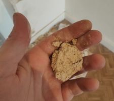 Une belle chaux qui doit bien dater, pr&eacute;lev&eacute;e sur le sondage du doublage int&eacute;rieur d'un mur p&eacute;riph&eacute;rique