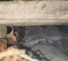 Sous la cuisine, c'est ni la cave, ni le VS. Va comprendre