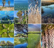 Environnement